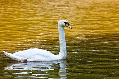 《神探加杰特：疯狂时光派对》9月14日上市